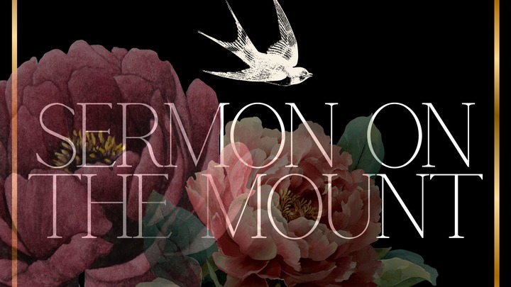 Winter 2026: Women's Discipleship Groups logo