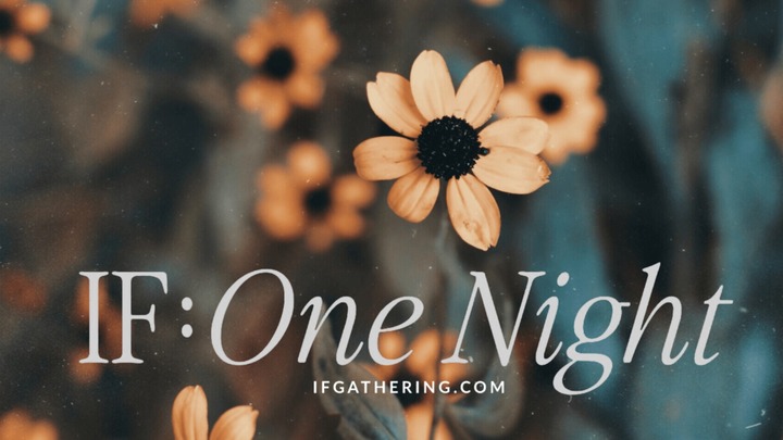 IF:One Night logo