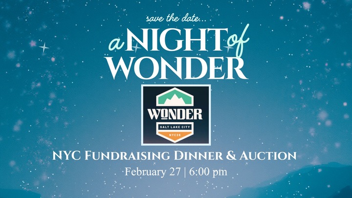 2026 Auction: "Night of Wonder" logo