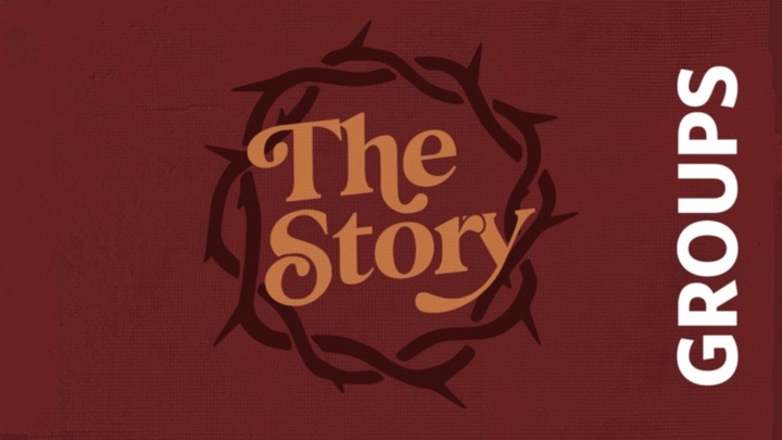 The Story Group: Middle School logo