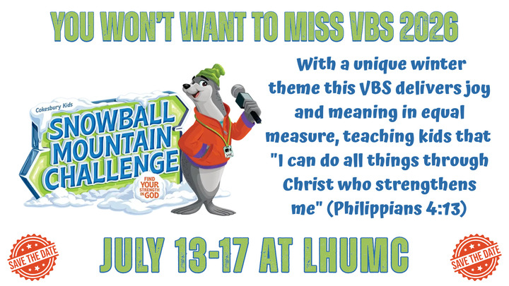2026 VBS Volunteer logo