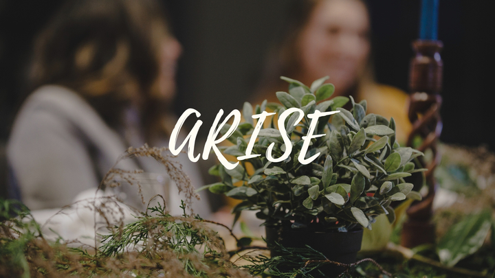 Arise logo image