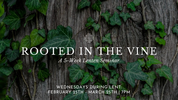 Rooted In the Vine: A Lenten Seminar logo