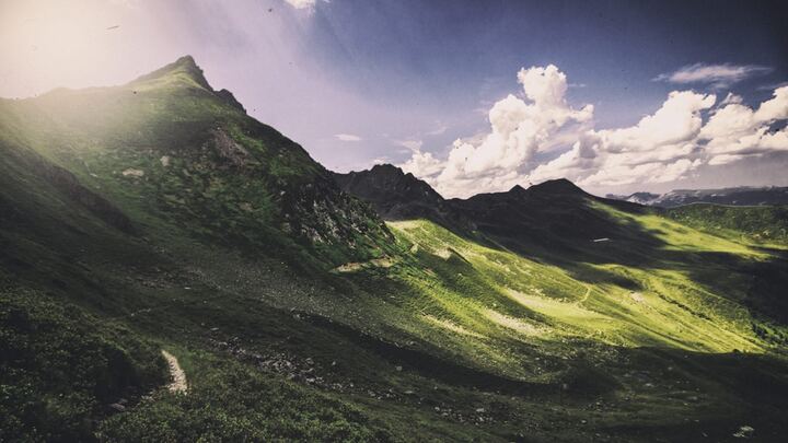 DCC Teen Ministry Summer Internship 2026 logo