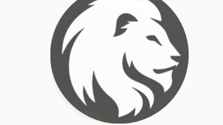 YOUNG LIONS - Youth Leadership Development  logo