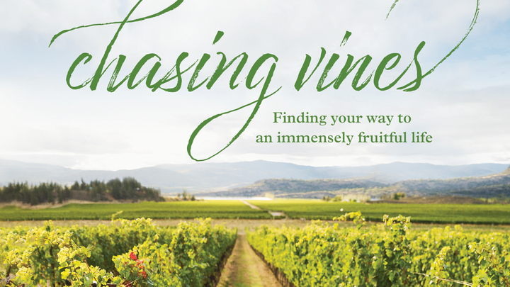 Chasing Vines - Beth Moore Study logo image