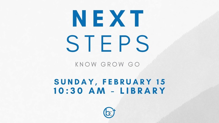Next Steps logo