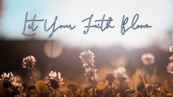 Let Your Faith Bloom - Ladies of Grace logo