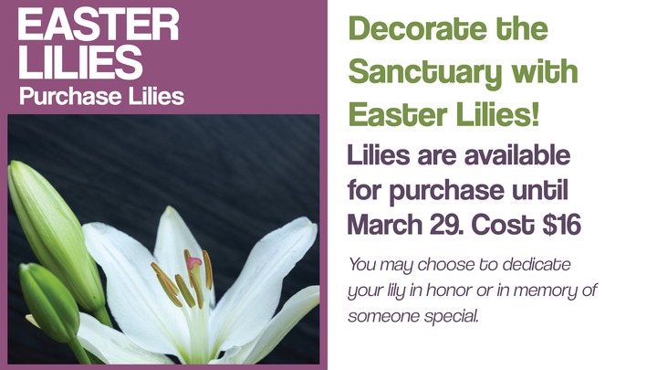 2026 Easter Lily Signup logo