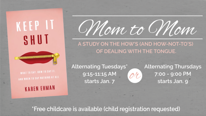 Mom to Mom: "Keep It Shut" DVD Study logo image