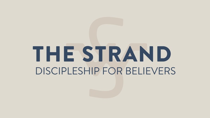 Godley » The Strand: Discipleship for Believers logo