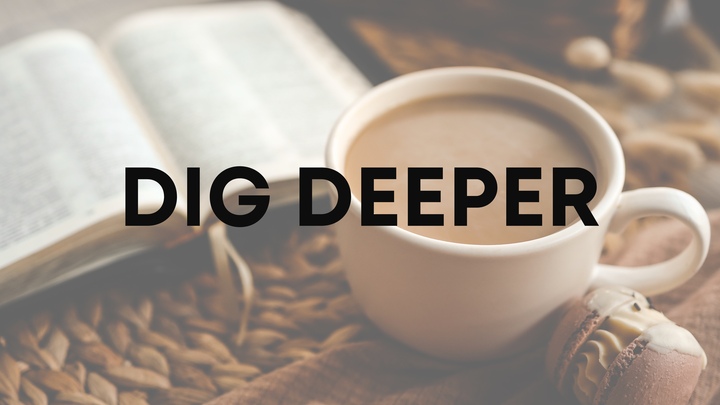 DIG DEEPER logo