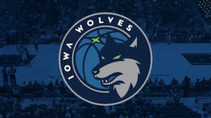 Youth Group Iowa Wolves Game logo