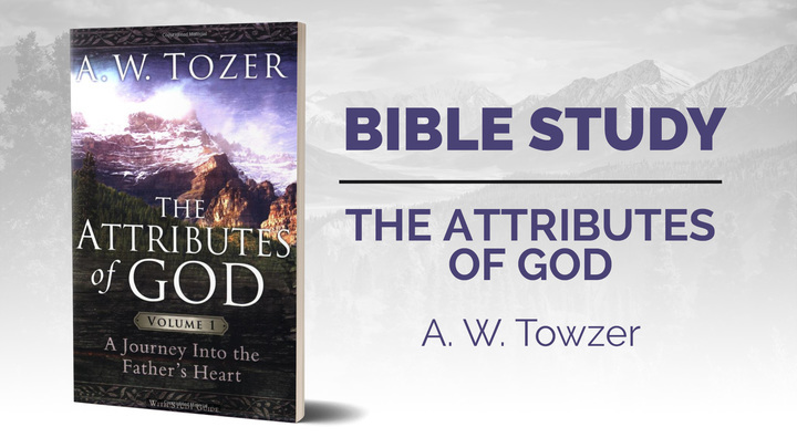 Trinity Women: Attributes of God logo image