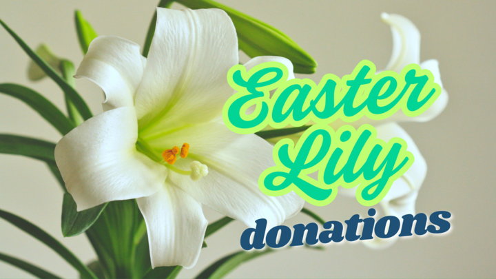 Easter Lily Dedications logo