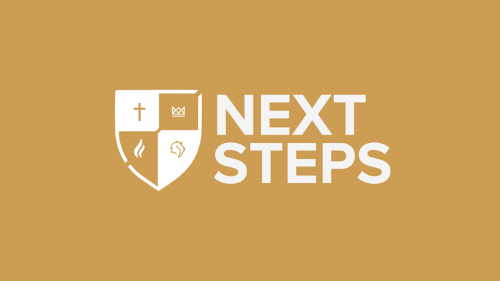Next Steps logo