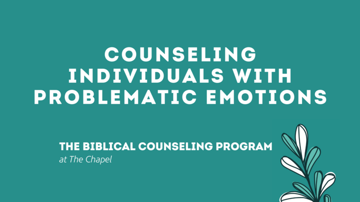 Counseling Individuals with Problematic Emotions logo