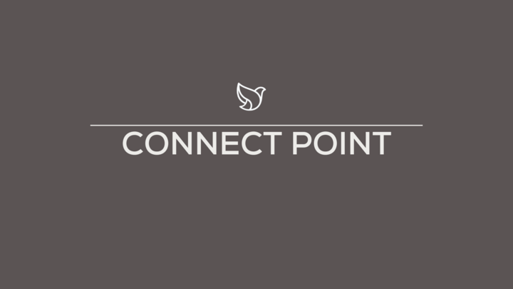 Connect Point logo
