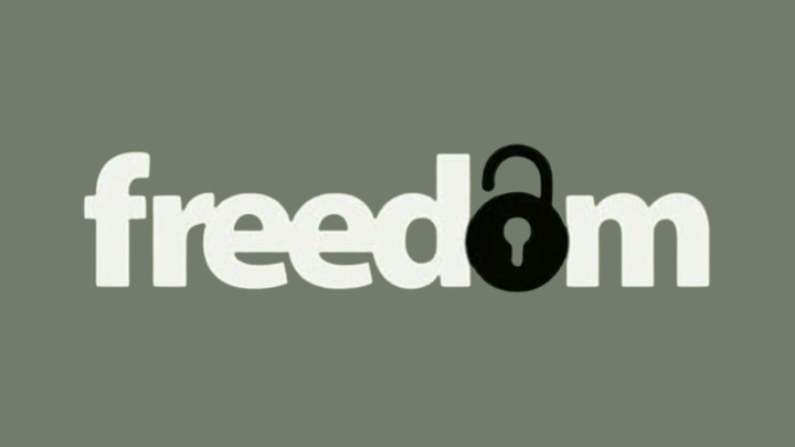 Freedom Weekend  logo