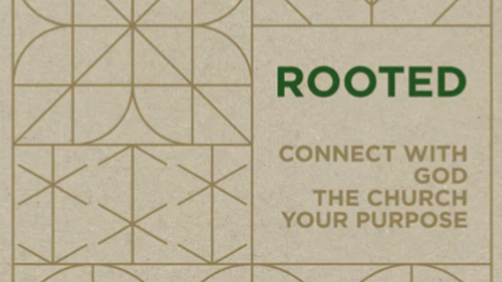 Rooted Experience Launch (fall 2026) logo