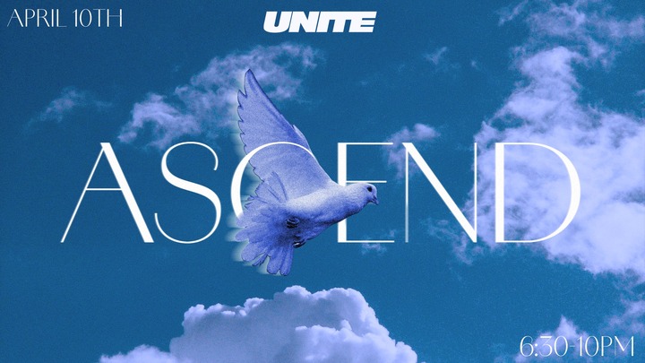 UNITE ONE NIGHT logo