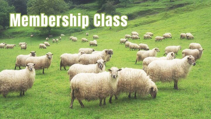 Membership Class logo