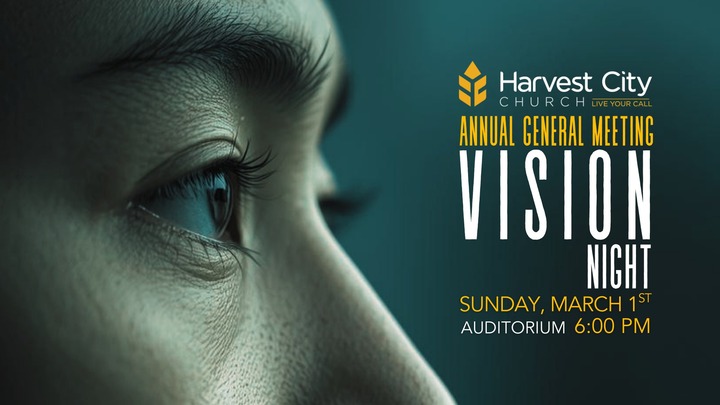 Vision Night ~AGM logo