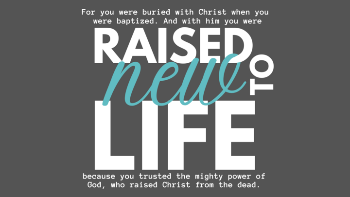 Baptism | February 22. 2026 logo