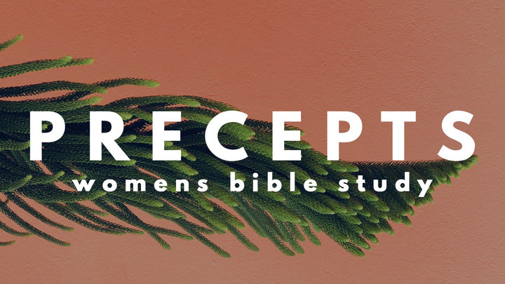 Precepts Women's Bible Study logo image