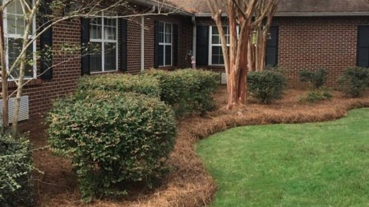 Pine Straw Fundraiser March 2026 logo