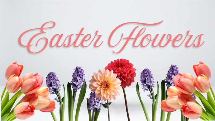 Easter Flower Orders logo