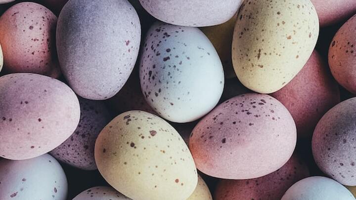 Family Easter Egg Hunt logo