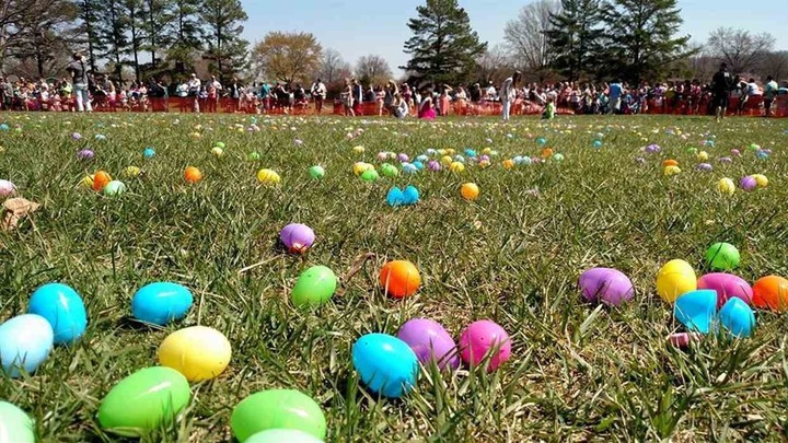 Eggstravaganza Volunteer Sign Up logo