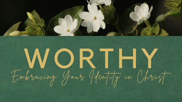 Women's Morning Study - Meets 1st & 3rd Thursdays logo