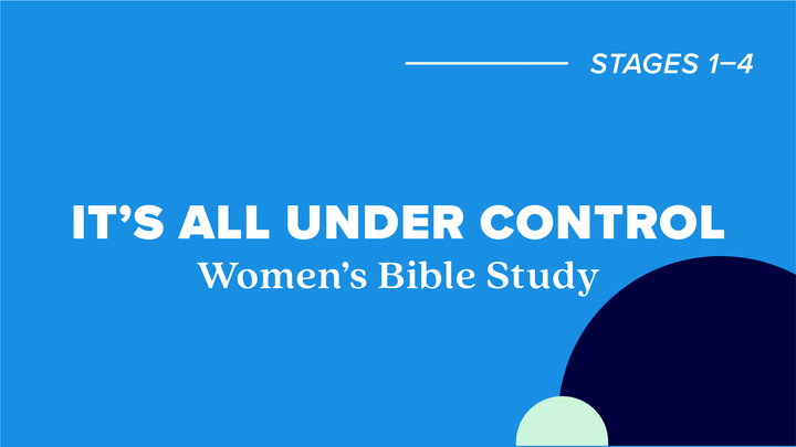 WBS | It's All Under Control logo