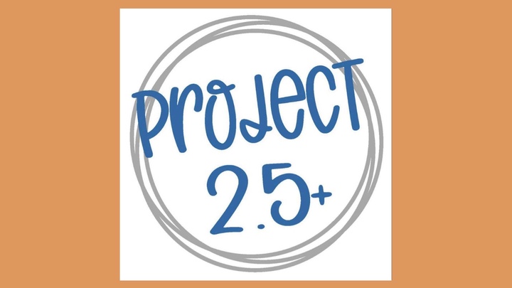 PROJECT 2.5 logo