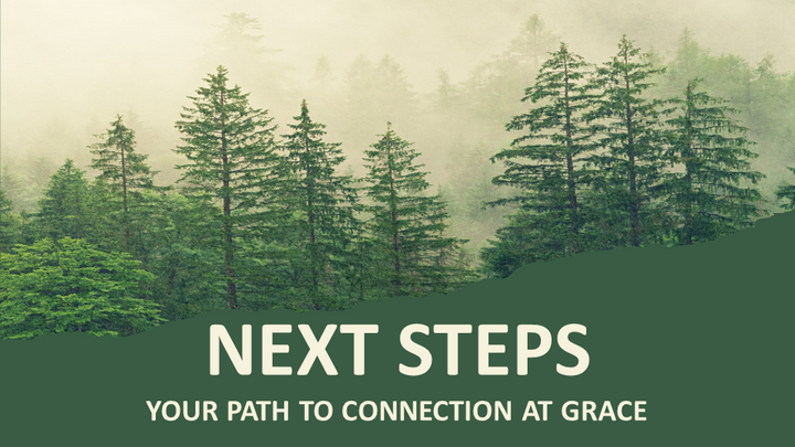 NEXT STEPS logo