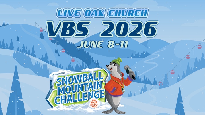 Snowball Mountain Challenge VBS logo