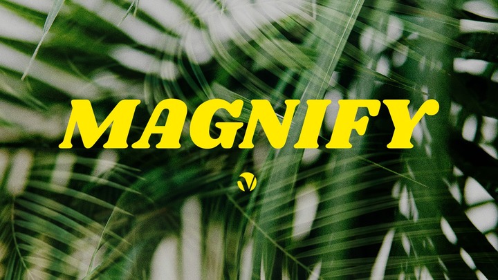 Magnify Night logo