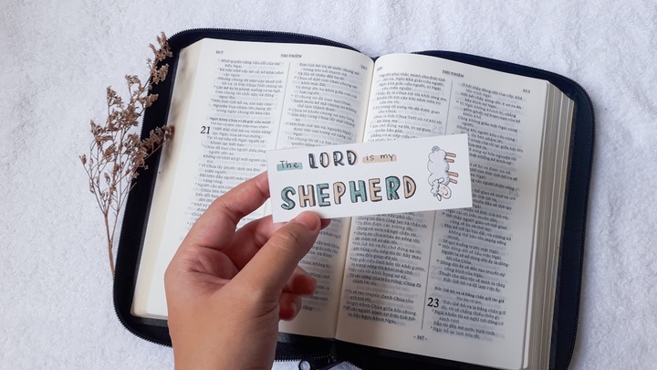 Women's SPRING Bible Study 2026 logo