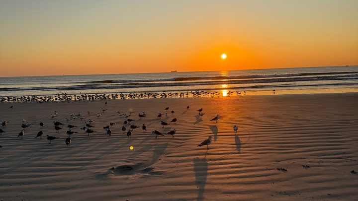 May | Carolina Beach | Sunset Beach Sweep & Invites | 6:30-7:30 pm | Second Saturday SERVE   logo