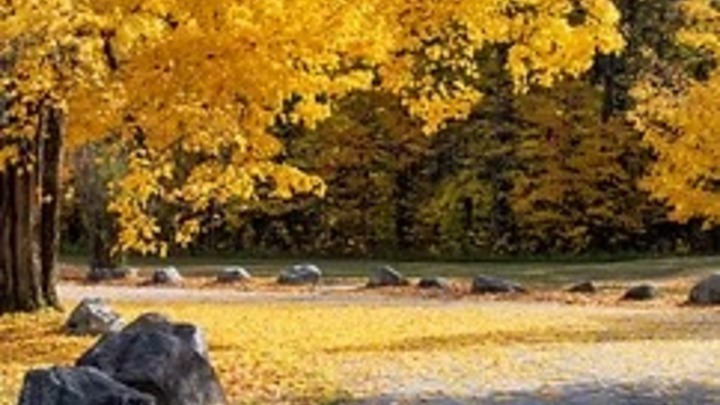 Flint Men’s Fall Retreat  logo