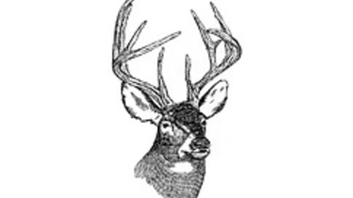 Deer Camp logo