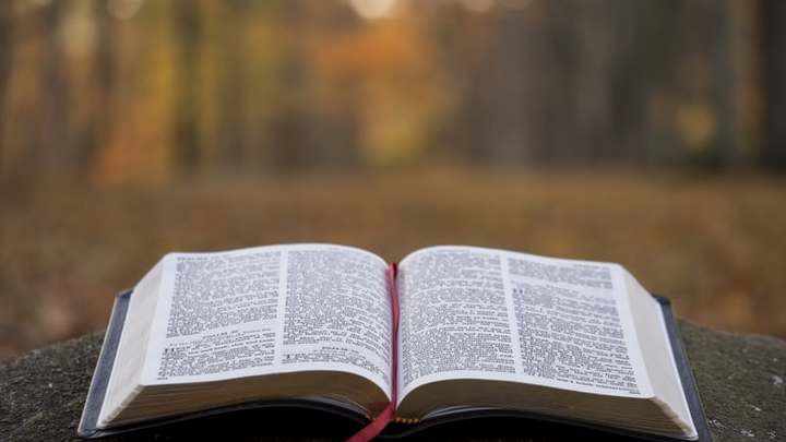 Is The Bible Reliable? logo image