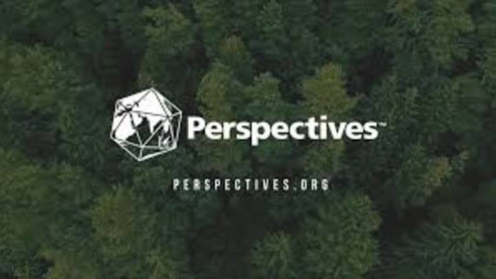 Perspectives logo image