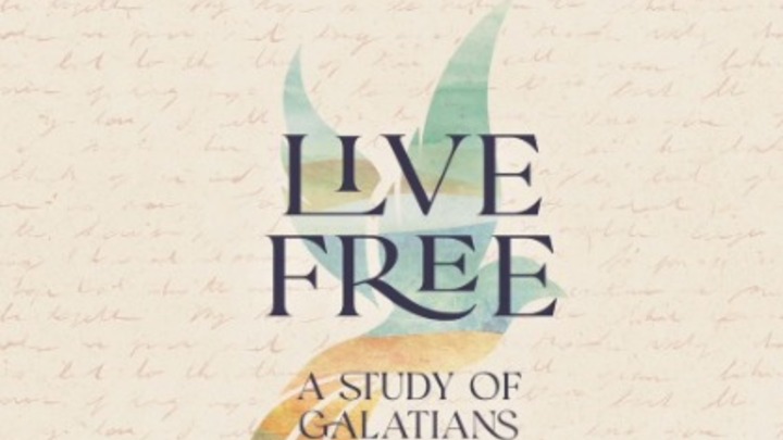 Thursday Morning Bible Study - Spring Study!  logo