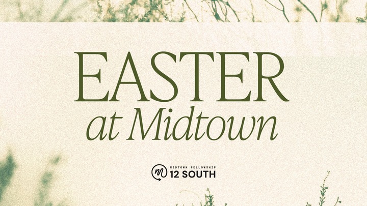 12 South Easter Services logo