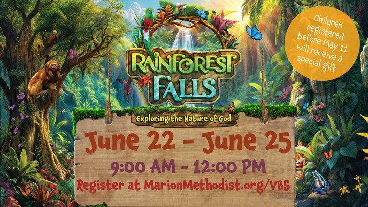 Rainforest Falls Vacation Bible School logo