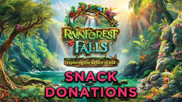 VBS Snack Donations logo