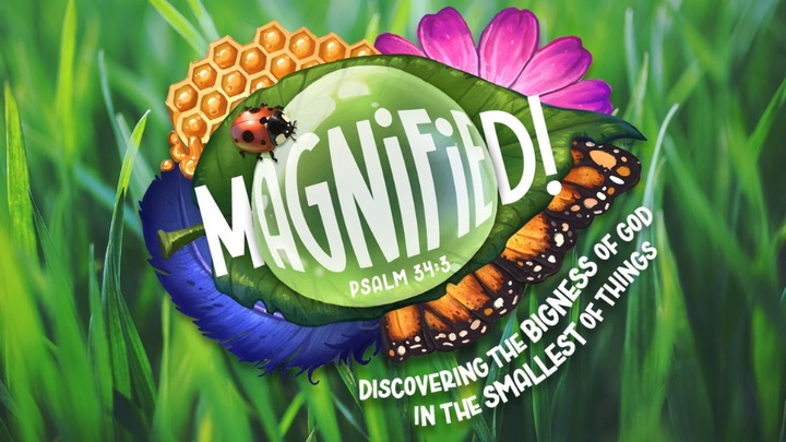 Hempfield Church VBS 2026 - Magnified  logo